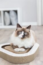 TRIXIE KRABPLANK KARTON MET 2 BALLEN - Afbeelding 5