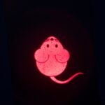 TRIXIE LASERSPEELGOED CATCH THE LIGHT MUIS USB OPLAADBAAR - Afbeelding 6