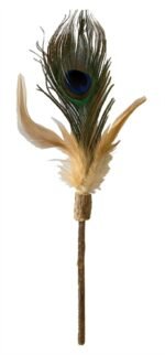 CROCI EUPHORIA KATTENHENGEL MATATABI PAUWENVEER