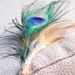 CROCI EUPHORIA KATTENHENGEL MATATABI PAUWENVEER - Afbeelding 2