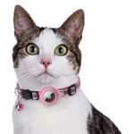 Halsbanden voor katten