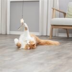 TRIXIE KATTENHENGEL STER KUNSTSTOF / PLUCHE MET CATNIP - Afbeelding 3