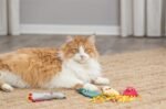 TRIXIE MUIS PLUCHE MET CATNIP ASSORTI - Afbeelding 2