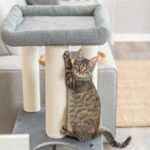 TRIXIE KRABPAAL VIVIANA RECHTHOEKIG BLAUWGRIJS - Afbeelding 8