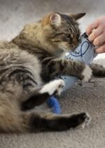 BATTERSEA CAT KICKER PRINT BLAUW ASSORTI - Afbeelding 6