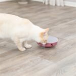 TRIXIE CAT ACTIVITY ROCKING MAZE KUNSTSTOF - Afbeelding 7