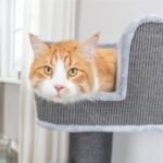 TRIXIE KRABPAAL AVA II XXL GRIJS - Afbeelding 8