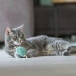 TRIXIE MATATABI HART PLUCHE ASSORTI - Afbeelding 2