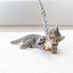 TRIXIE KATTENHENGEL STAART PANTERPRINT PLUCHE MET KATTENKRUID / CATNIP - Afbeelding 4